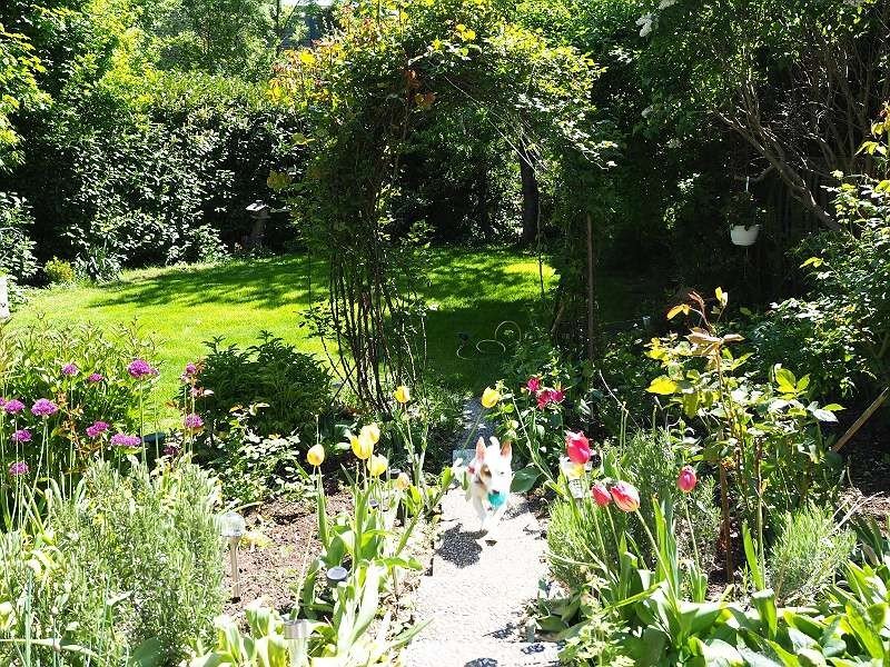 Provisionsfreies gepflegtes Haus mit großem Garten in