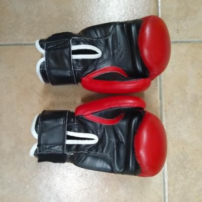 verkaufe Boxhandschuhe TopTen - thumb