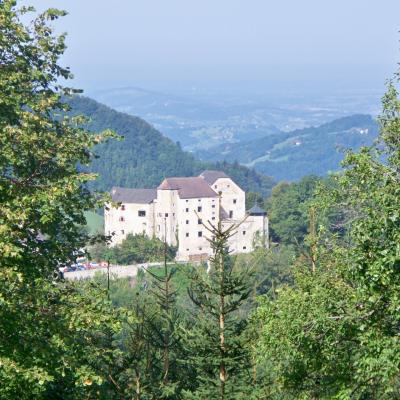 Kellner/in für Burg Plankenstein - thumb