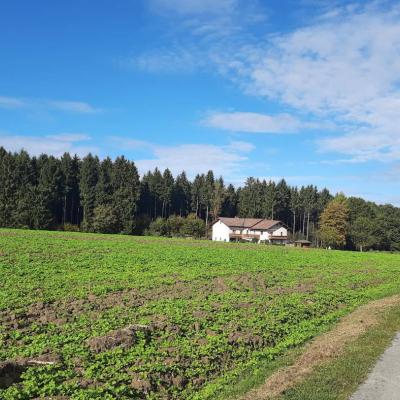 Haus/Bauernhaus auch gerne ältere - thumb