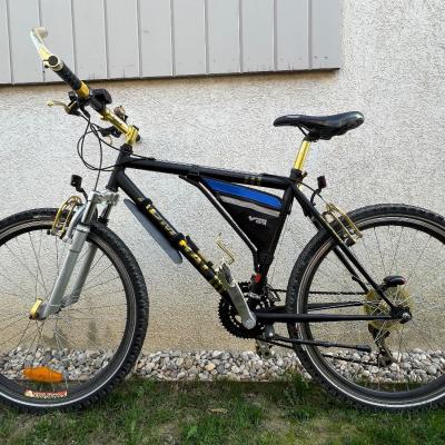 vergoldetes Mountainbike - thumb