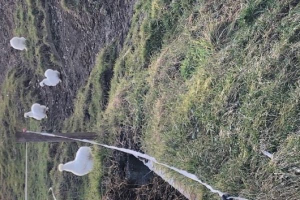 Kleinanzeigen sie sucht ihn in tirol Bad wimsbach-neydharting 