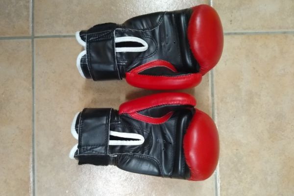 verkaufe Boxhandschuhe TopTen