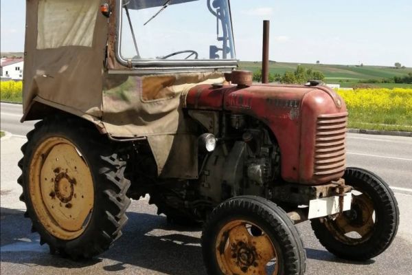 Steyr Traktor, 18er, T84, Oldtimer, Bj.1956
