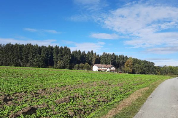 Haus/Bauernhaus auch gerne ältere