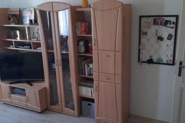 Wohnwand mit viel Stauraum gut gepflegt