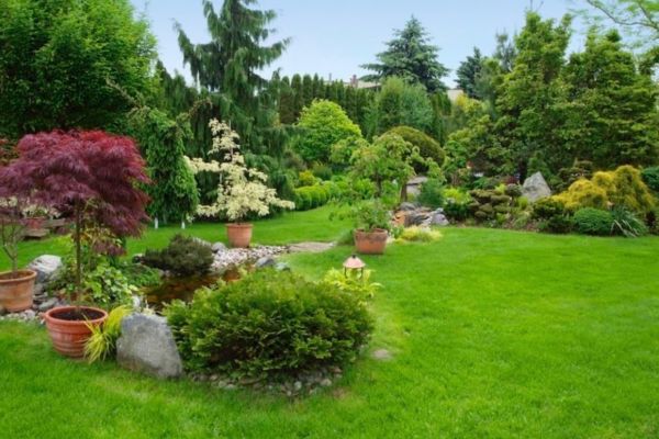 Ferientätigkeit – Tier- und Gartenbetreuung im Sommer