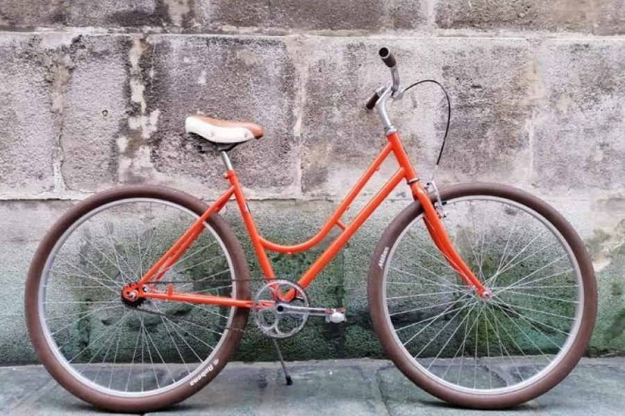 Waidhofen an der ybbs singlespeed fahrrad. Deutsch-wagram 