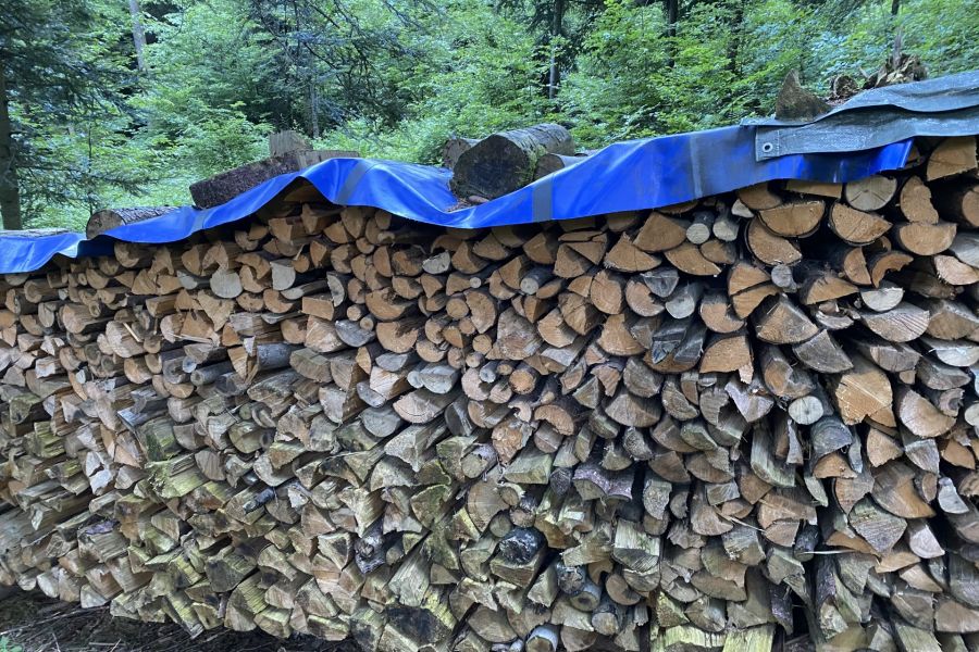 Brennholz trocken - Bild 1