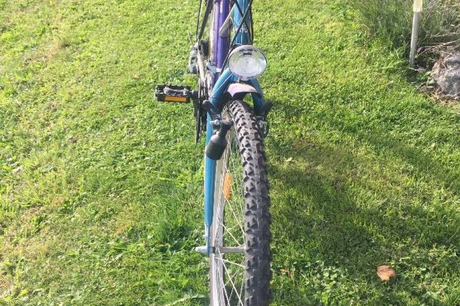 Citybikes 26 zoll - Bild 4
