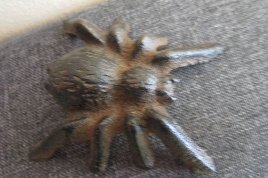 Spinne - Gusseisen - Tarantel - Spider - Deko - Vogelspinne - Bild 1
