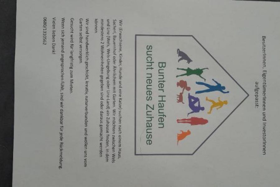 Bunter Haufen sucht neues Zuhause - Bild 1