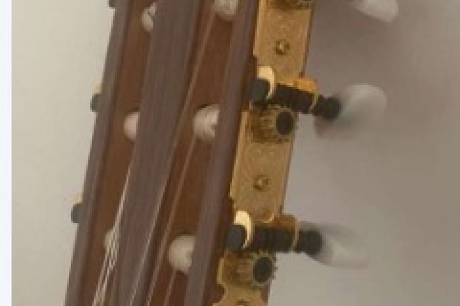 Ortega Gitarre - Bild 4