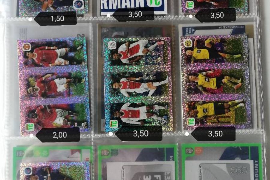 Panini FIFA 365 Sticker Teil 1/2 - Bild 1