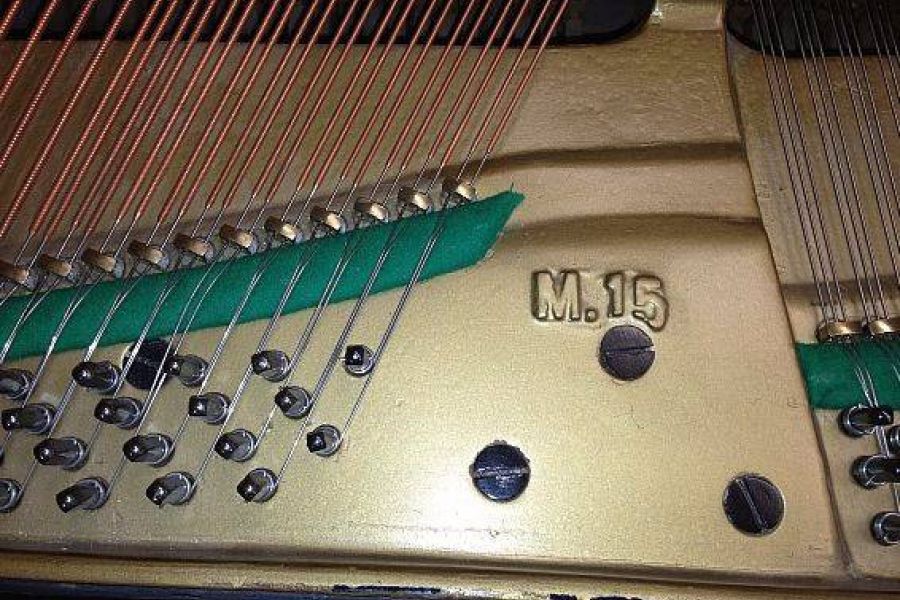 Ehrbar Flügel, Modell M15 - Bild 5